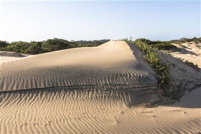 Sanddünen bei St. Lucia an der Elephant Coast